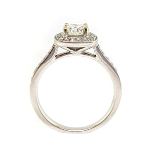 14K W/G Halo with Accented Shank Engagement Ring